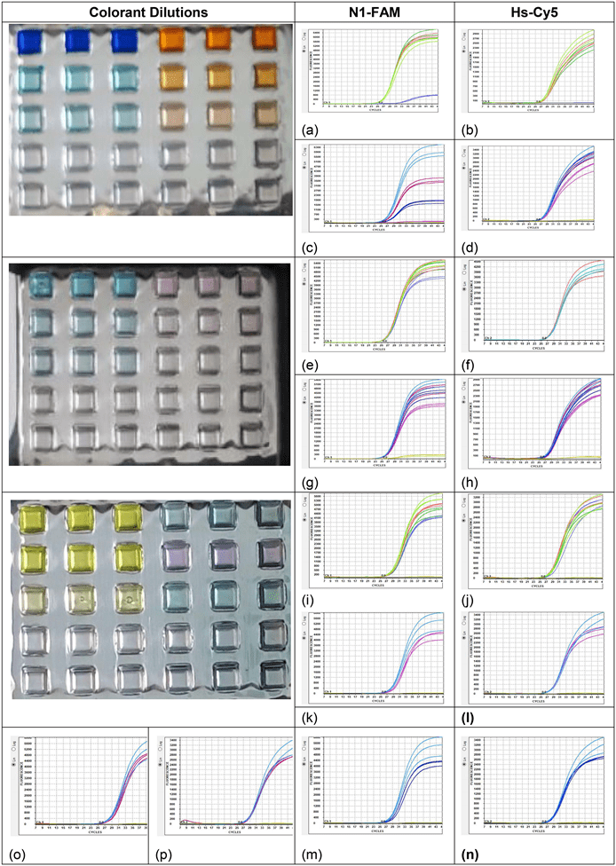 ColorCoding of Microchip RTPCR Test System for SARSCoV2 Detection