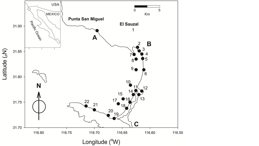Winter and Summer Evaluation of Bacteriological Water Quality at