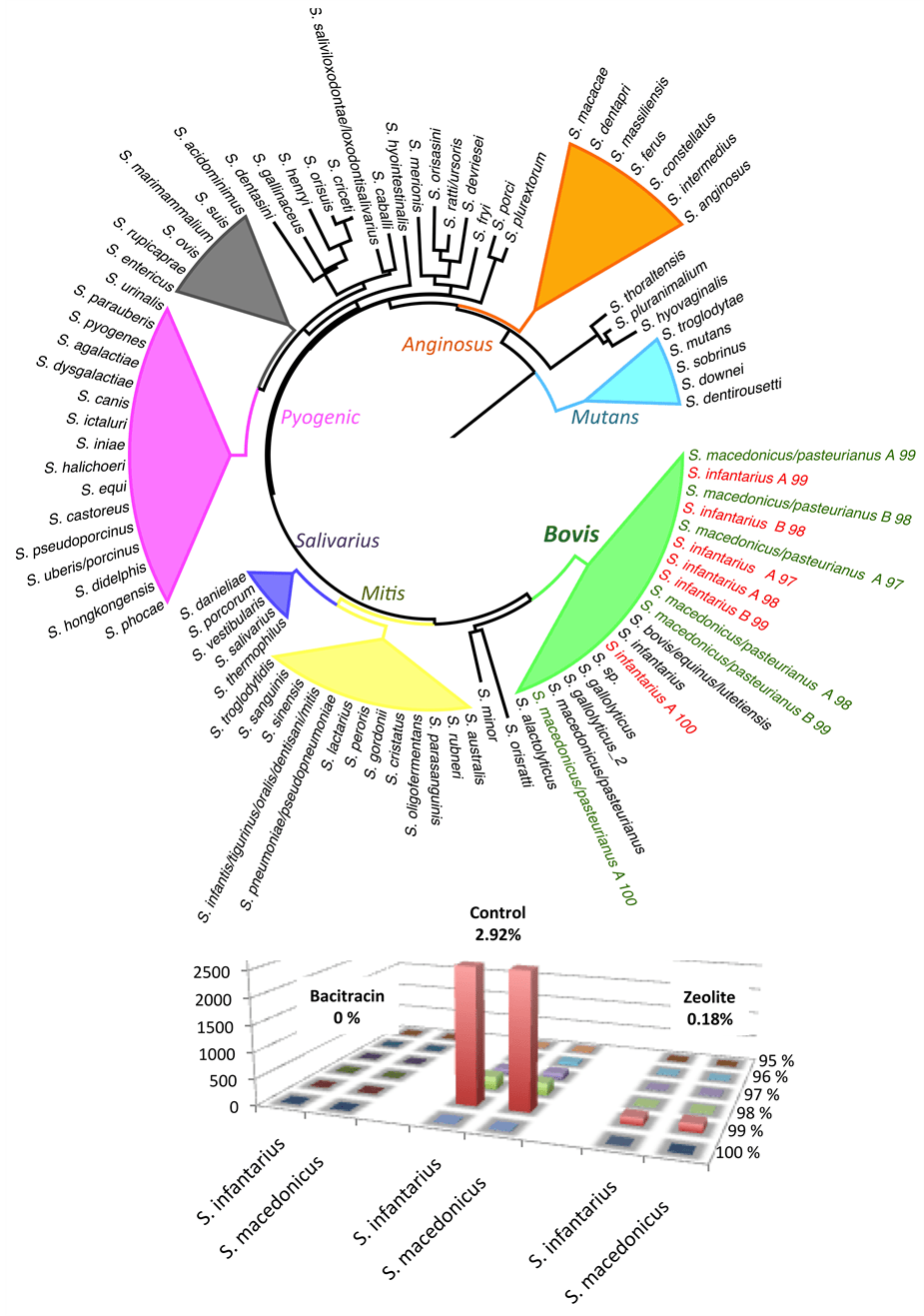 Effect of Zeolite on Small Intestine Microbiota of Broiler Chickens A