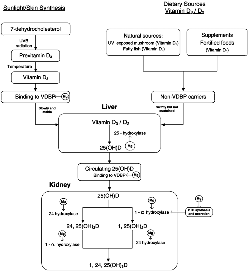 Long Covid, Short Magnesium
