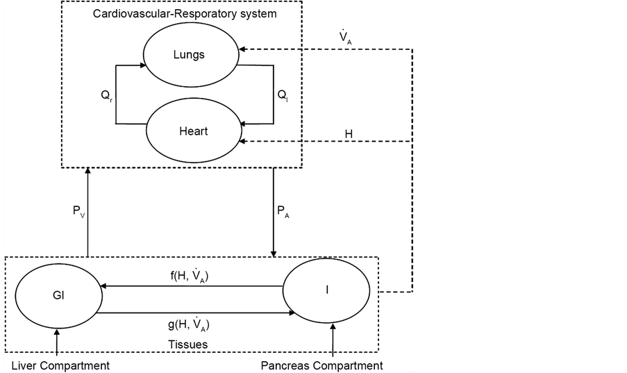 PerturbationIteration Method for Solving Mathematical Model of Glucose