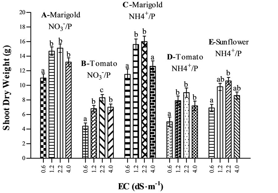 The Effect of Nitrogen and Phosphorus Ratios and Electrical