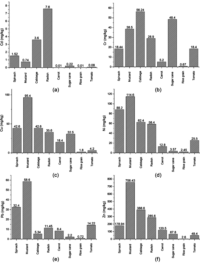Assessment of Metal Accumulation in the Vegetables and