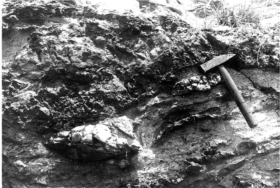 Occurrence of Manganese Ore Deposits and Their Mineralogy in