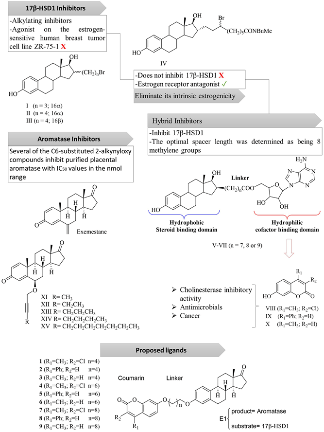 Molecular Docking Studies of EstroneCoumarin Derivatives as Aromatase