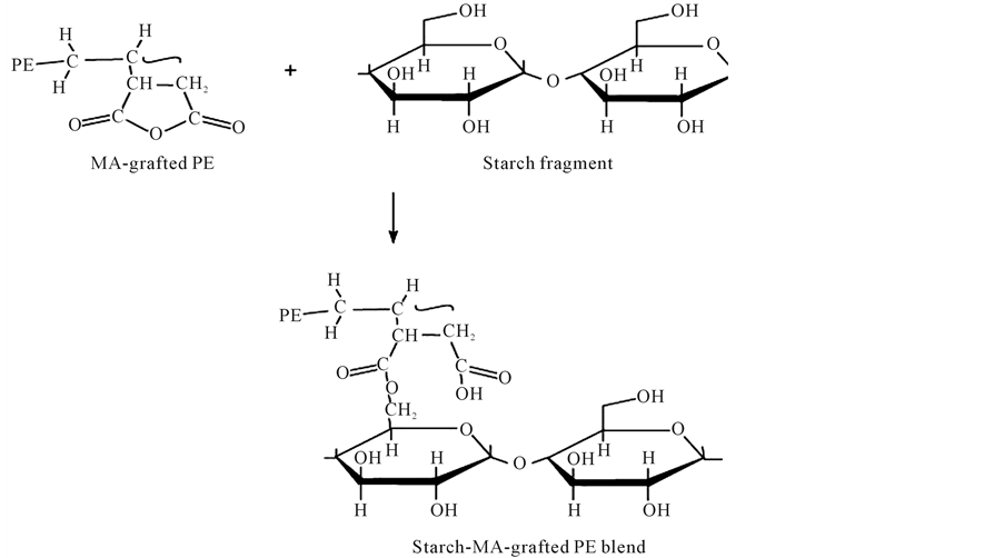 Extrusion of Thermoplastic Starch Effect of “Green” and Common