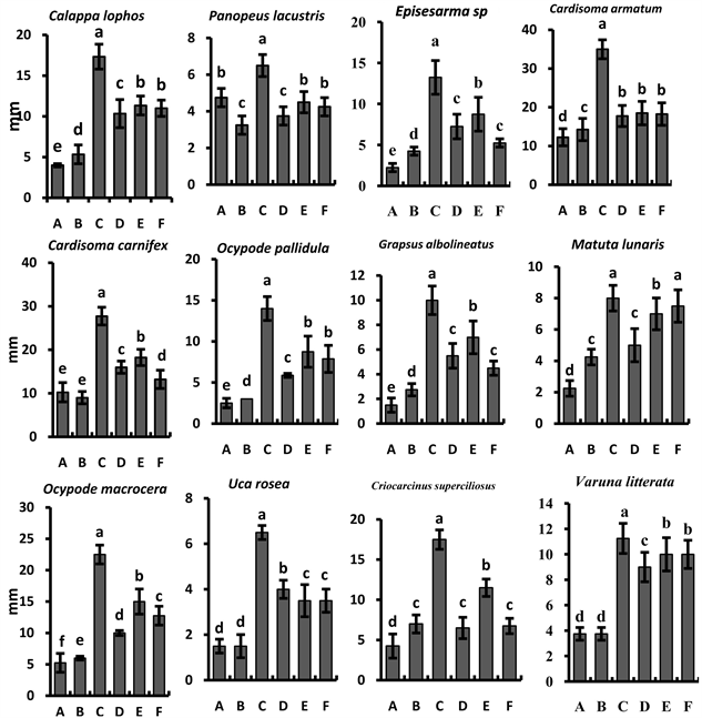 Brachyuran Crab Fauna Character Estimated from Marine Water of