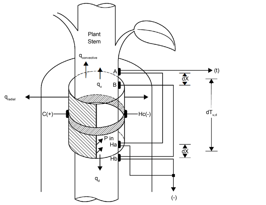 The Stem Heat Balance Method to Measure Transpiration Evaluation of a