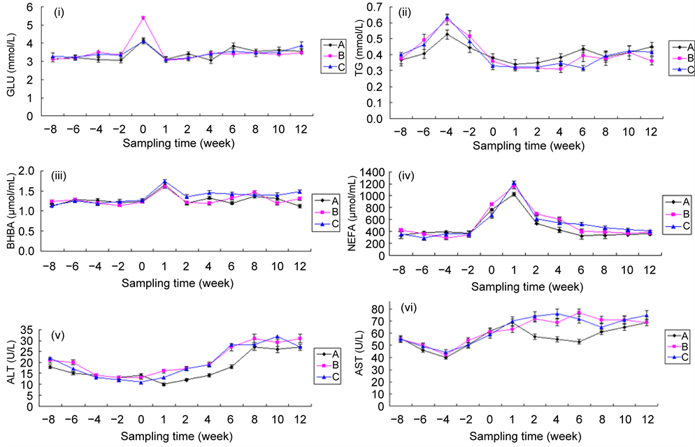 Effects of Dietary Energy Density in the Dry Period on the Production