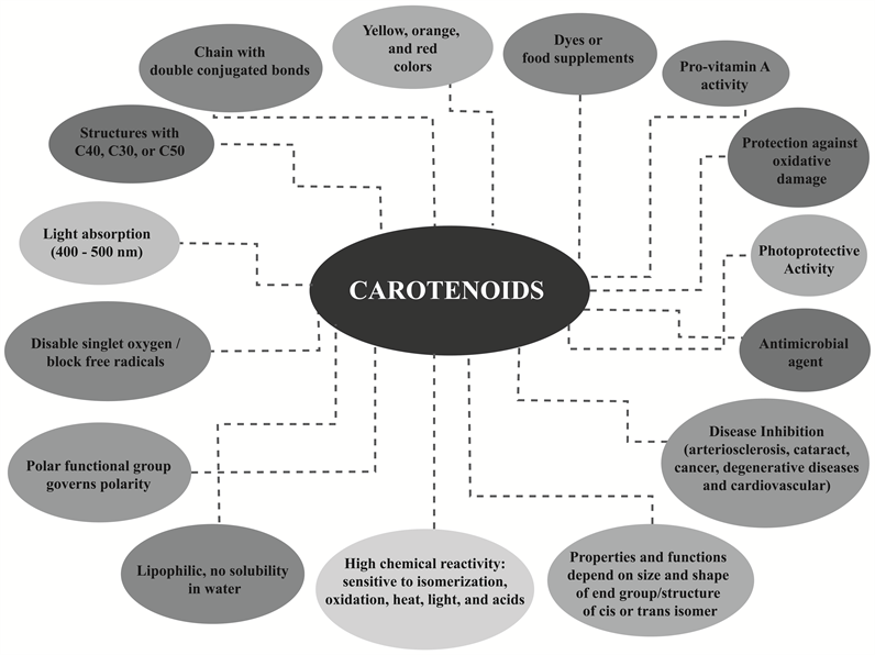 Biotechnological Potential of Carotenoids Produced by Extremophilic