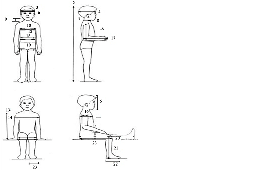 Anthropometric Comparison of ThreeYearOld Nigerian Child and Crash