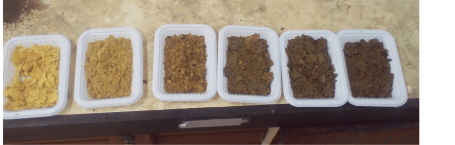 Development of High Protein and Vitamin A Flakes from Sweet Potato