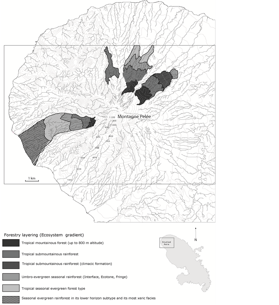 The SpatioTemporal Interfaces within the Lesser Antilles Vegetation