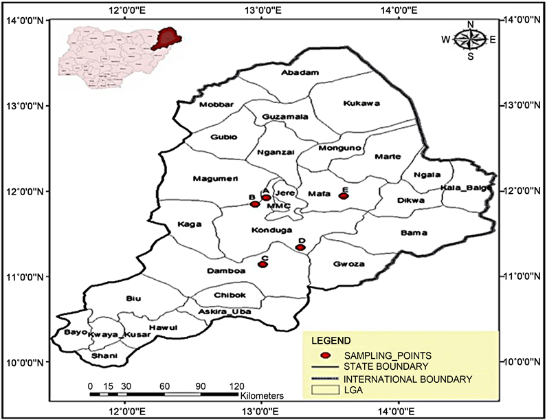 Microbiomes of Top and SubLayers of SemiArid Soils in NorthEastern