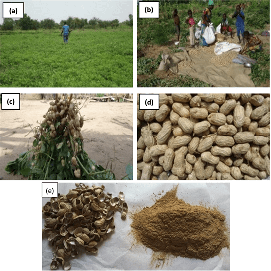 Characterization of Peanut Shells for Their Valorization in Earth Brick