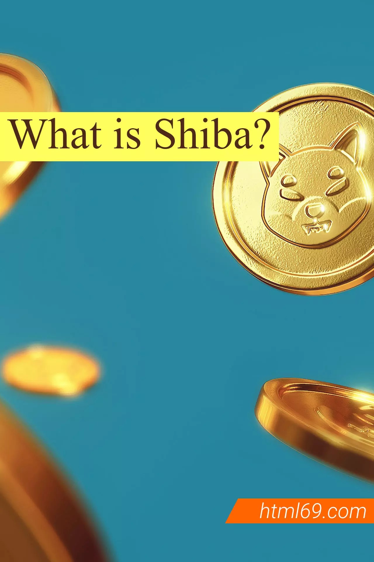 What is Shiba? Introducing Shiba Inu digital currency and its benefits