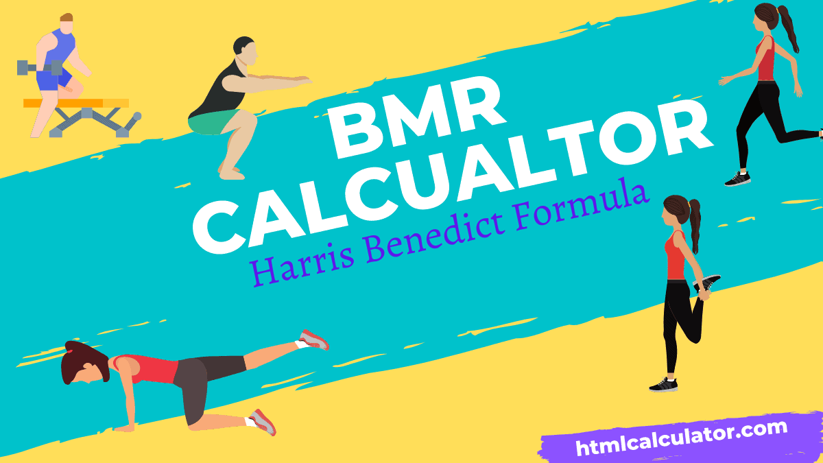 Use Harris Benedict Formula Calculator for BMR