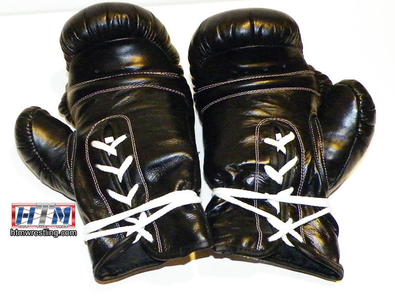 Hit the Mat Boxing Gloves