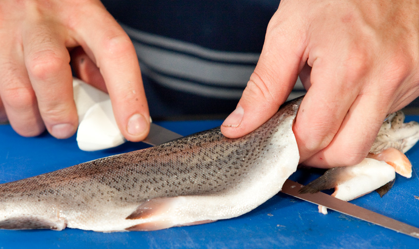 Filleting Round Fish HTN