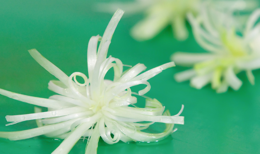 Spring Onion Flowers HTN