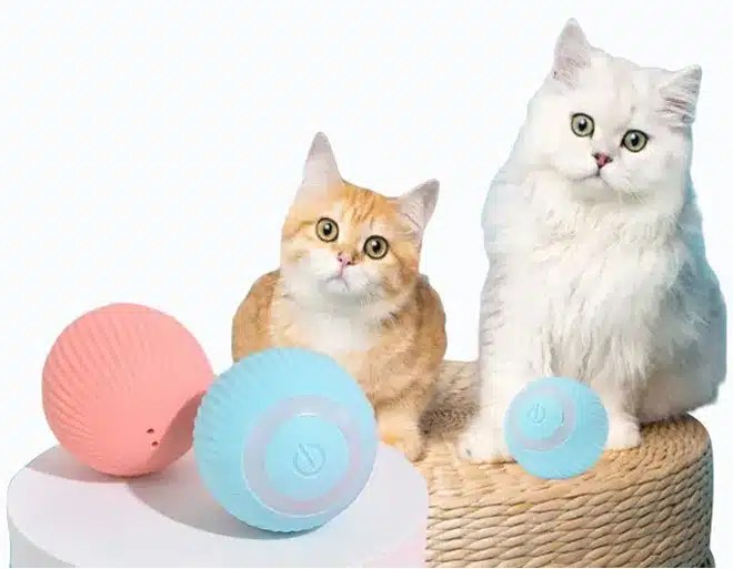 The Ultimate Guide to Safe Silicone for Reptile Enclosures Silicone