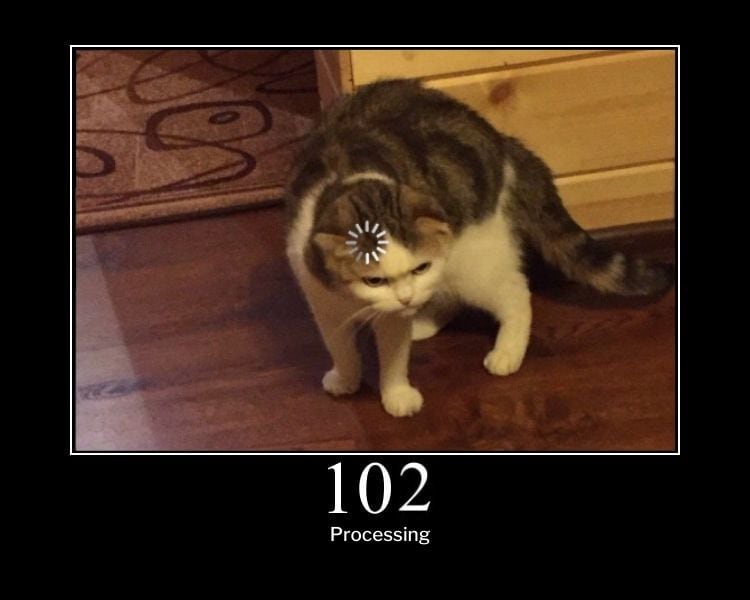 HTTP Cats