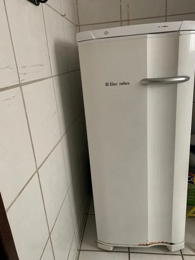 Freezer Vertical Electrolux Fe18 Branco 145l 220v Mebuscar Brasil