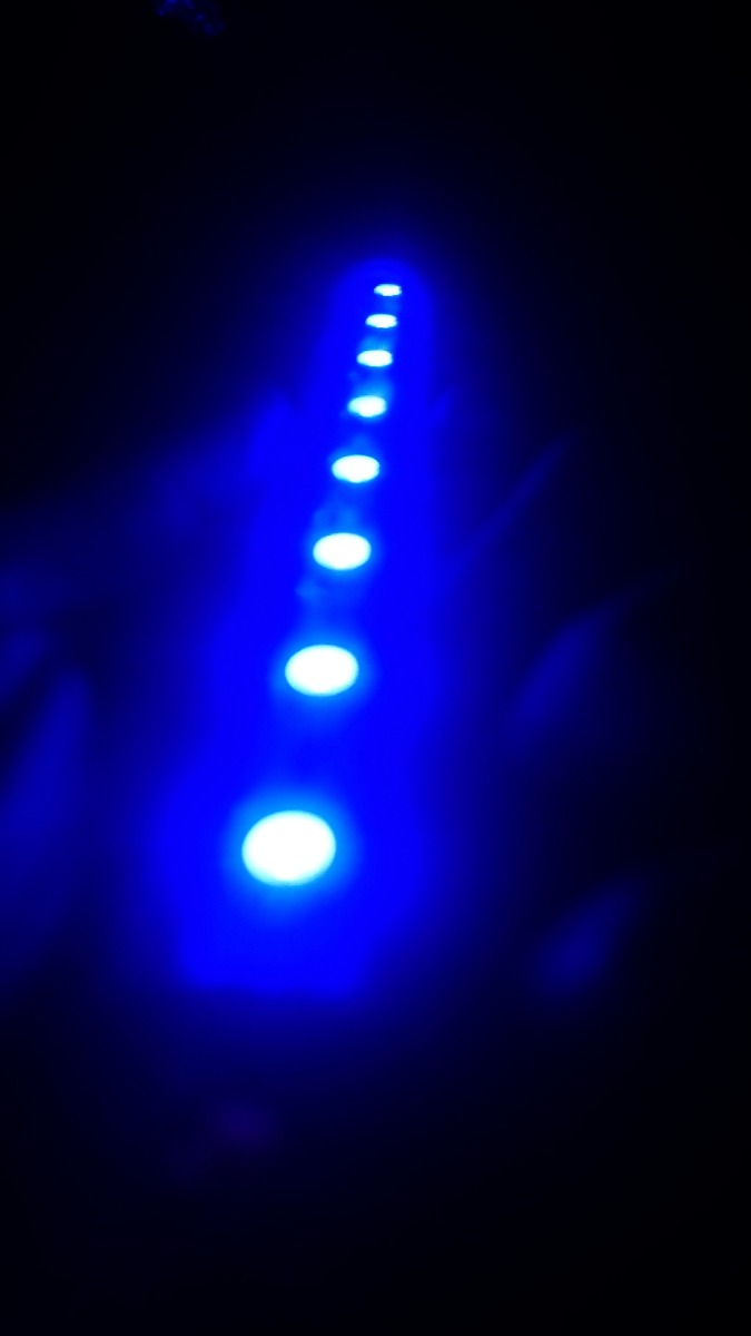 Lamparas Led Luz Azul Alta Intensidad 18cm Nocturnas Mercado Libre