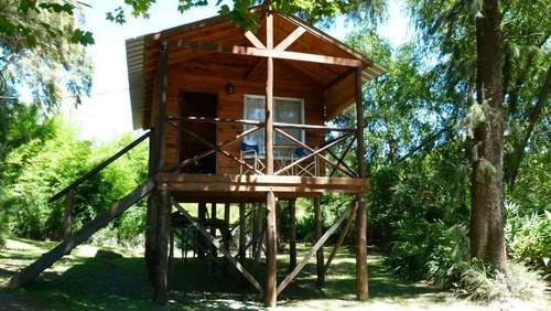 Alquiler Cabaña Tigre, Delta Para 2 Personas (Her Place) | Mercadolibre