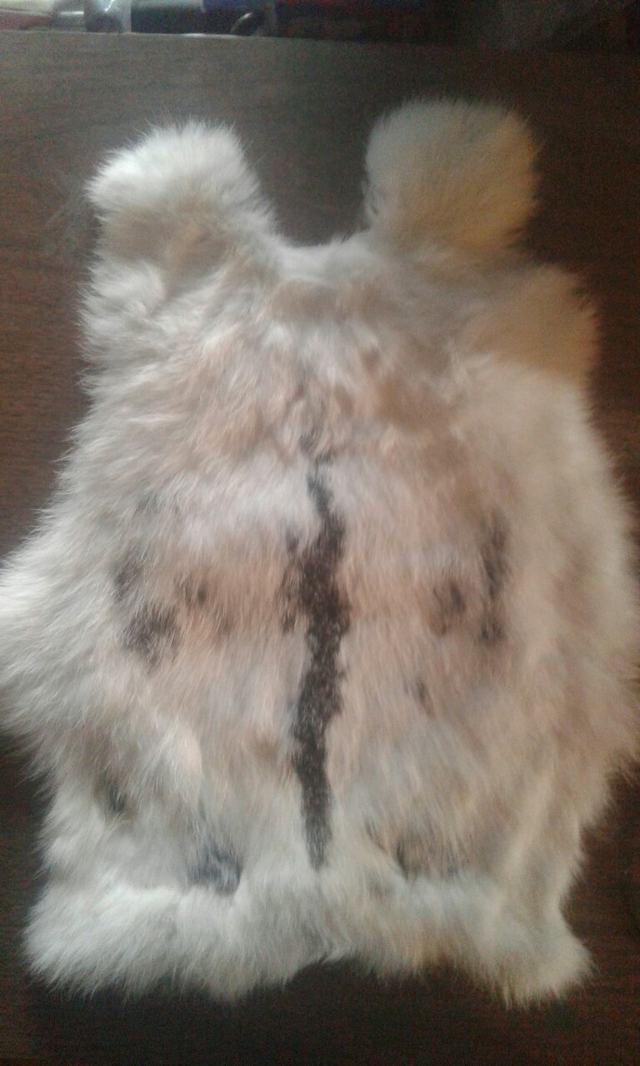 Piel De Conejo Curtida Mercado Libre