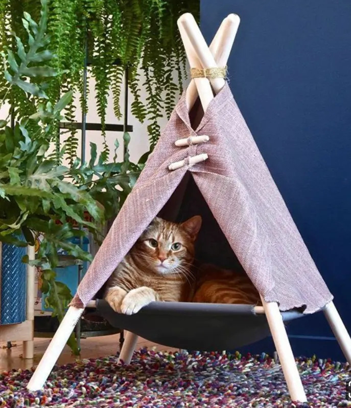 Camas Para Gatos Tipi Mercado Libre