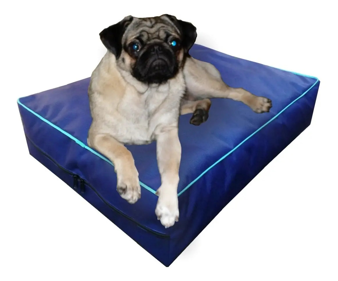 Colchón Liso Antidesgarro 60x50x10 Cm Cama Para Perros MercadoLibre