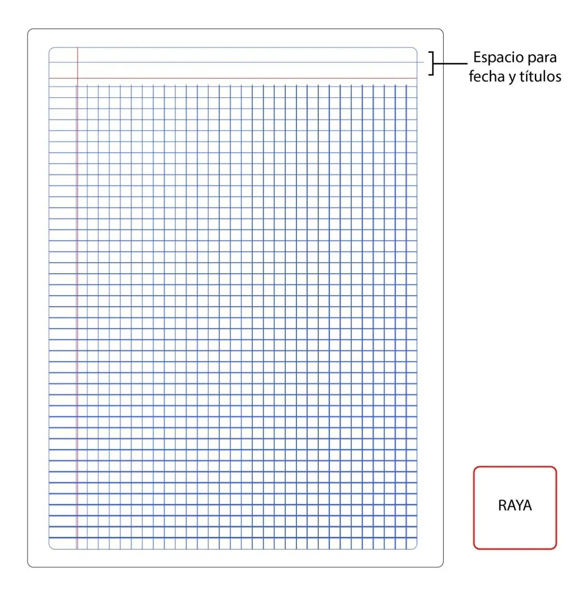 Cuaderno Profesional Cuadro Chico Cosido 100h 6pack Ferrini Meses