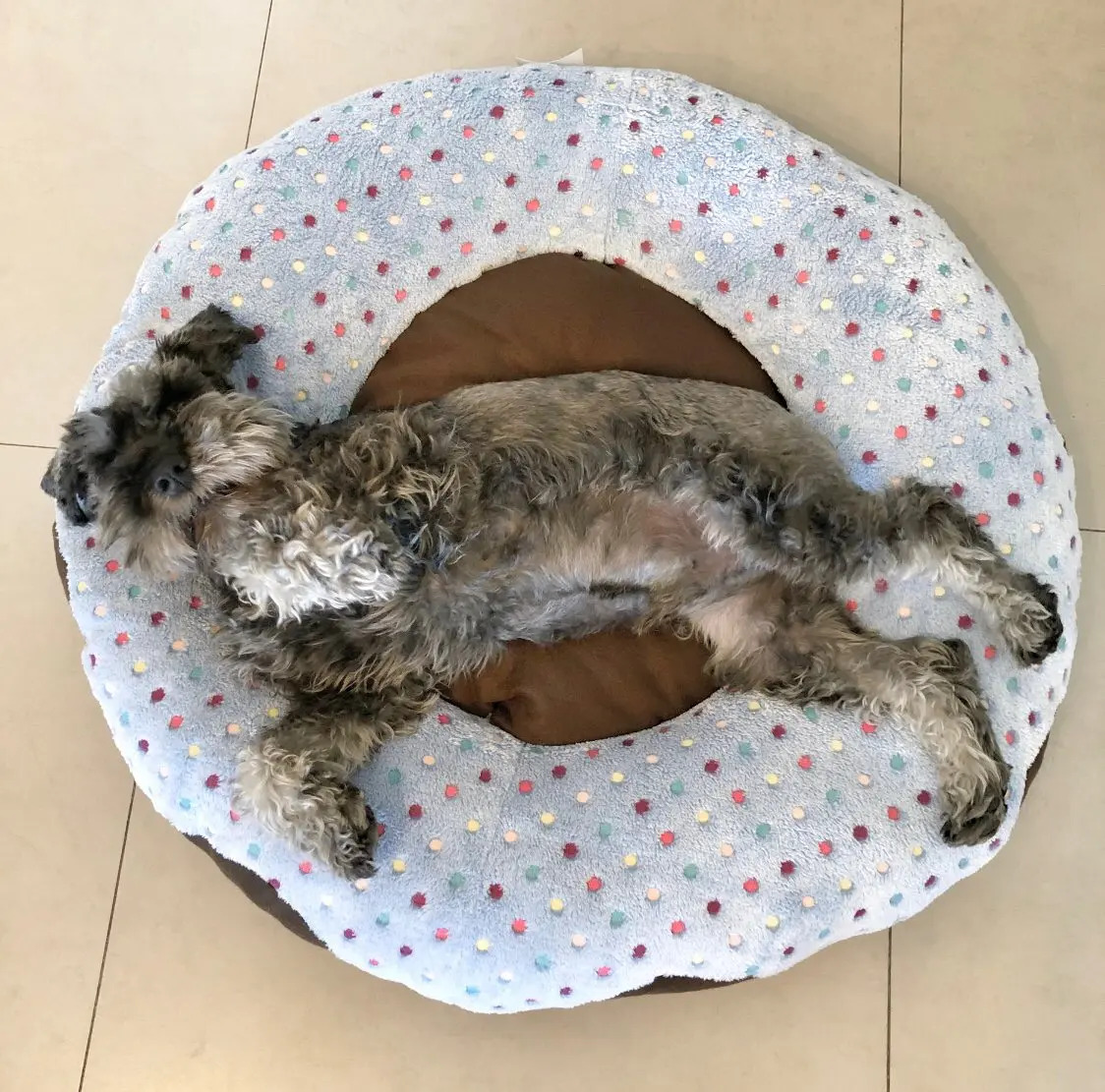 Cama Para Perros, Gatos, Mascotas Donut 75 Cm Mercado Libre