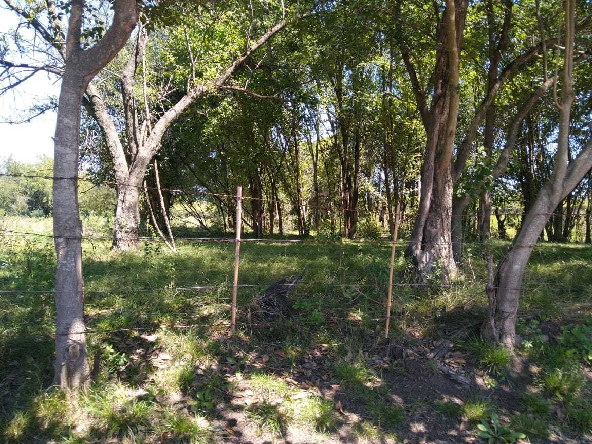 Lotes Terreno Pontevedra Dueño Oeste Zona C/escritura