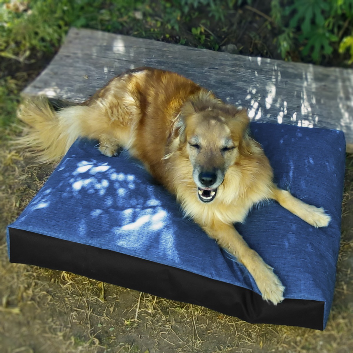 Colchón Cama Perro Antigarras Impermeable 80x60 Alto 12cm Mercado Libre