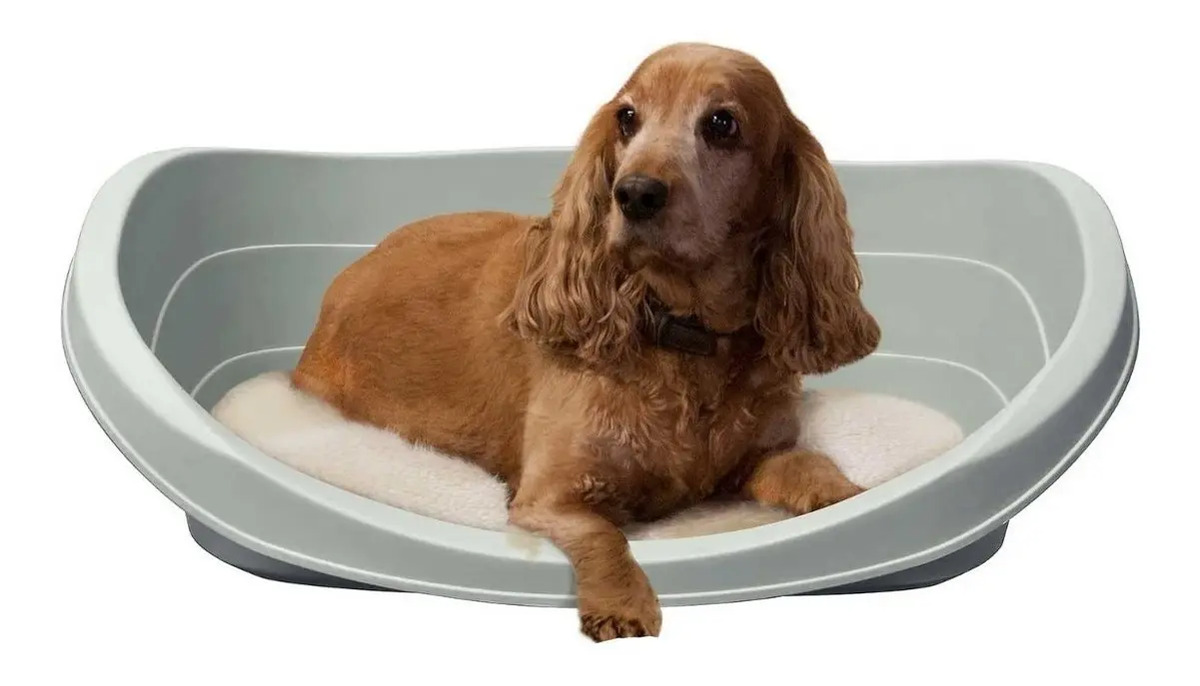 Cama Para Perros Raza Mediana Hipoalergenica + Mercado Libre