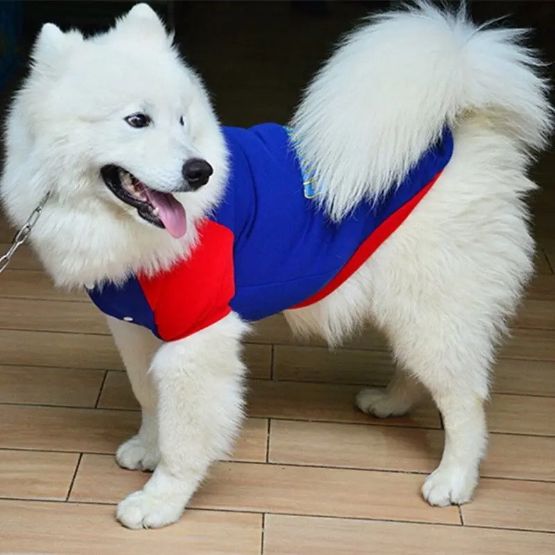 Ropa Para Perros Grandes Mercado Libre