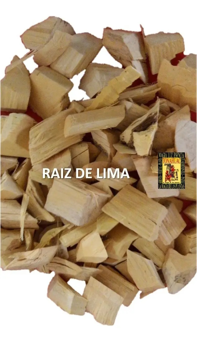 Raiz De Lima 500gr Organica Planta Seca MercadoLibre
