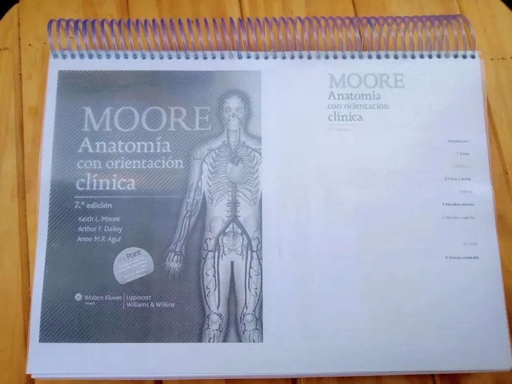 Moore Anatomía Con Orientación Clínica 7ma Edición Byn Mercado Libre