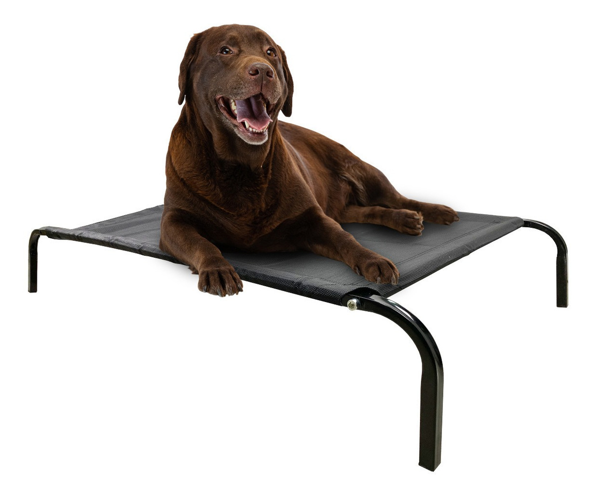 Cama Elevada Altura Para Mascota Perro Gato Talla M Cuotas sin interés