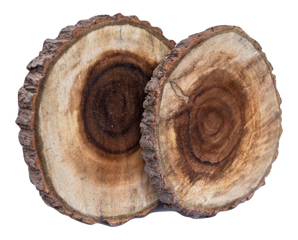 15 Rodajas De Madera De Álamo 2025cm Aprox Envío gratis