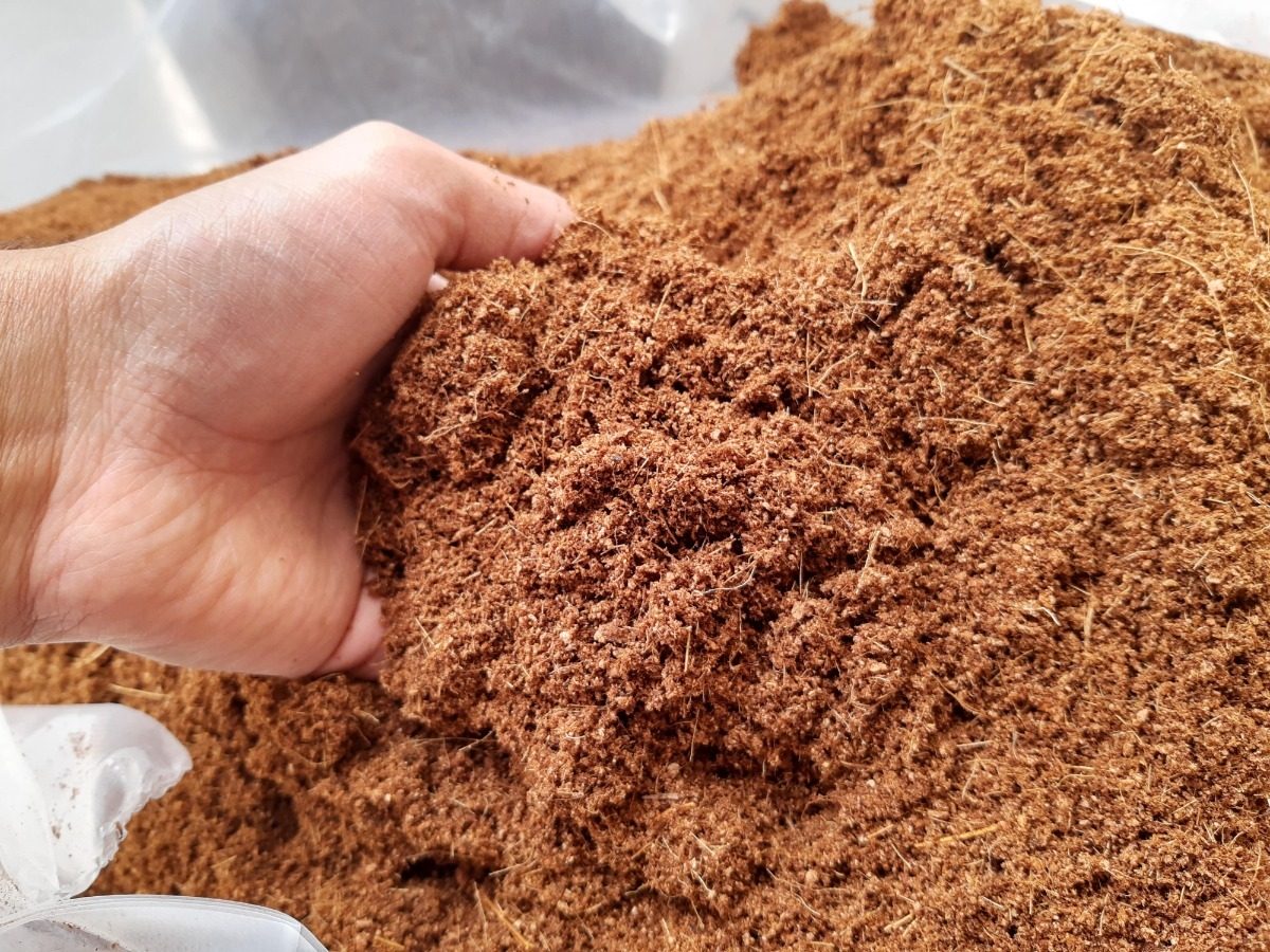 Polvillo De Coco / Fibra De Coco En Polvo Saco 50 Litros TH