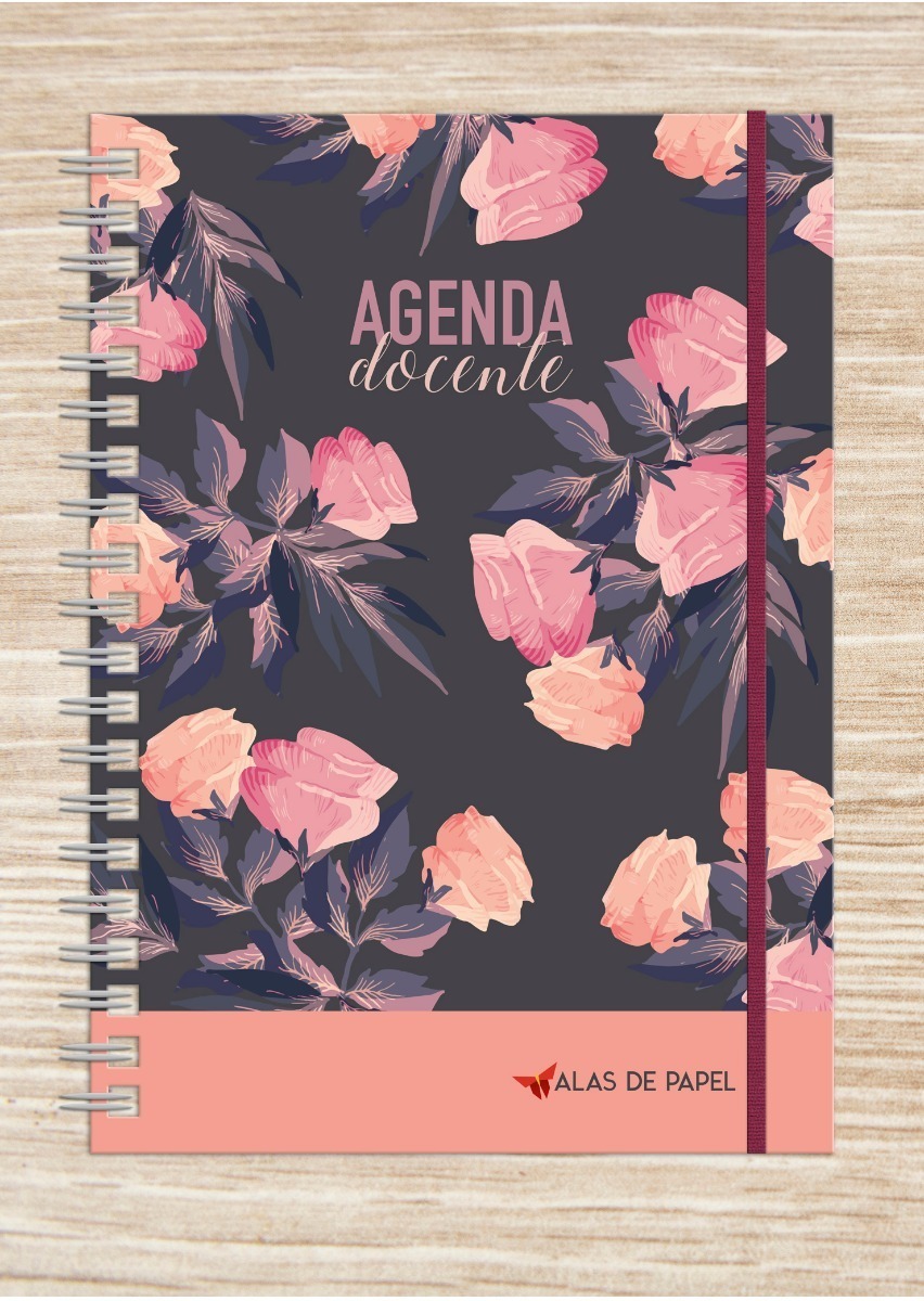 Agenda Docente 2020 Semanal Tapa Dura 15x21 Envio Gratis!!!! Mercado