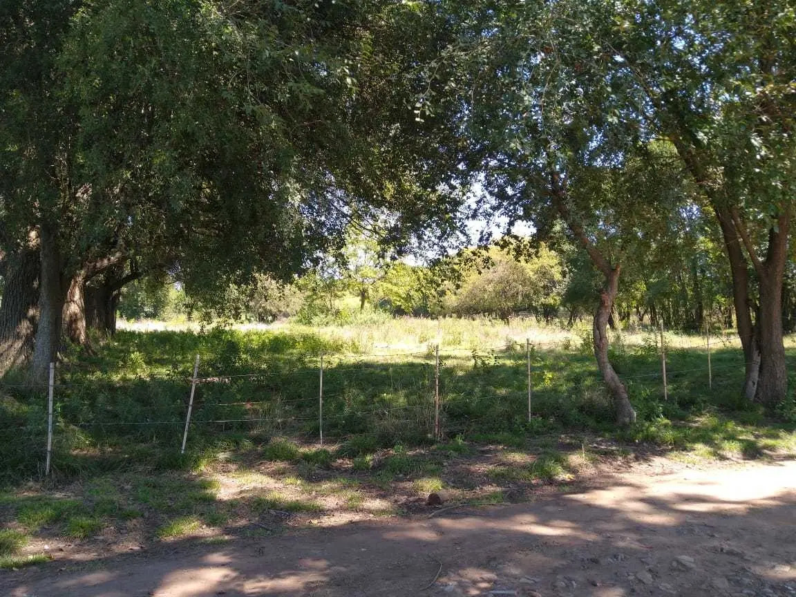 Lotes Terreno Pontevedra Dueño Oeste Zona C/escritura