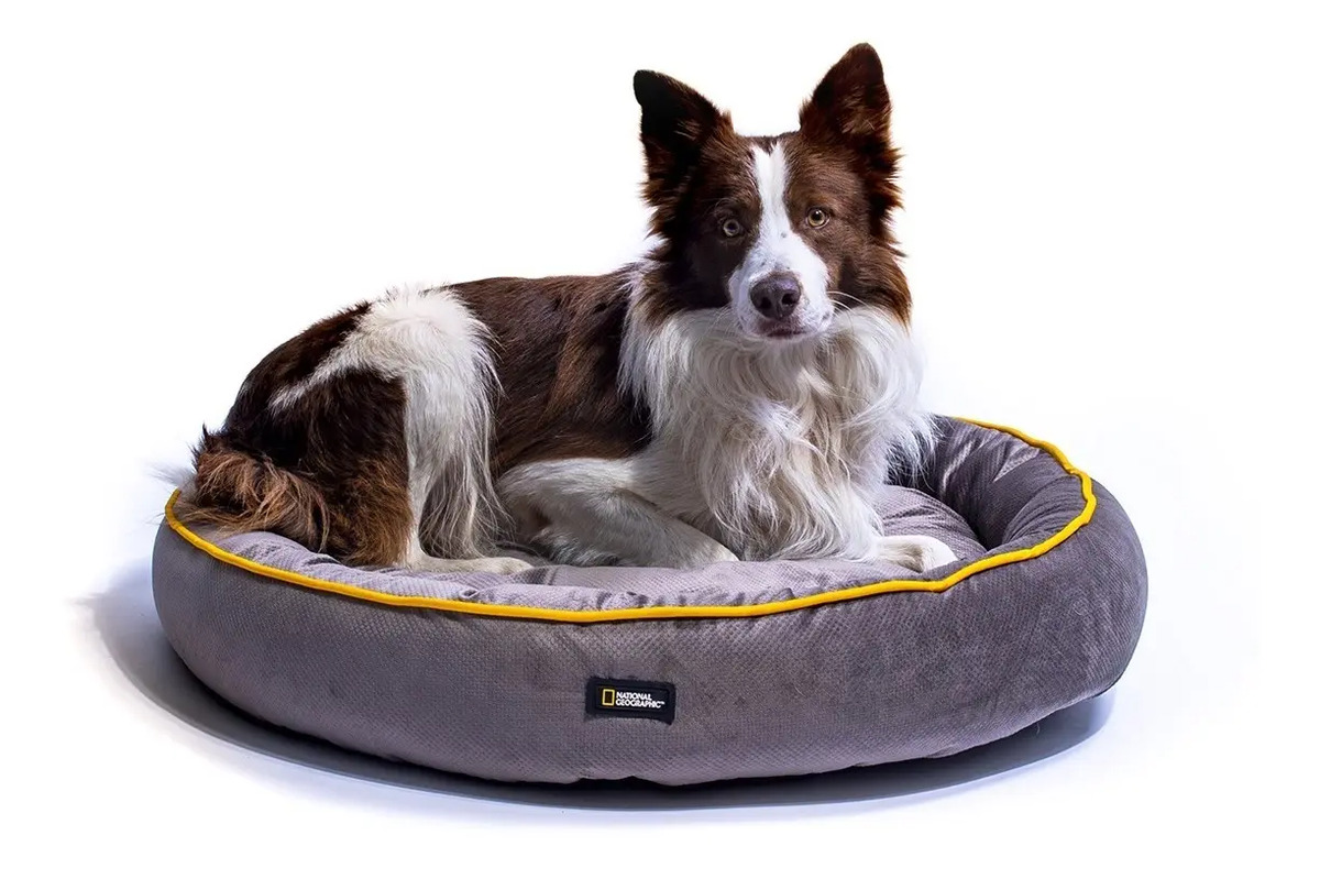 Cama Colchón Perro Chica National Geographic Disney Jack Pet Mercado