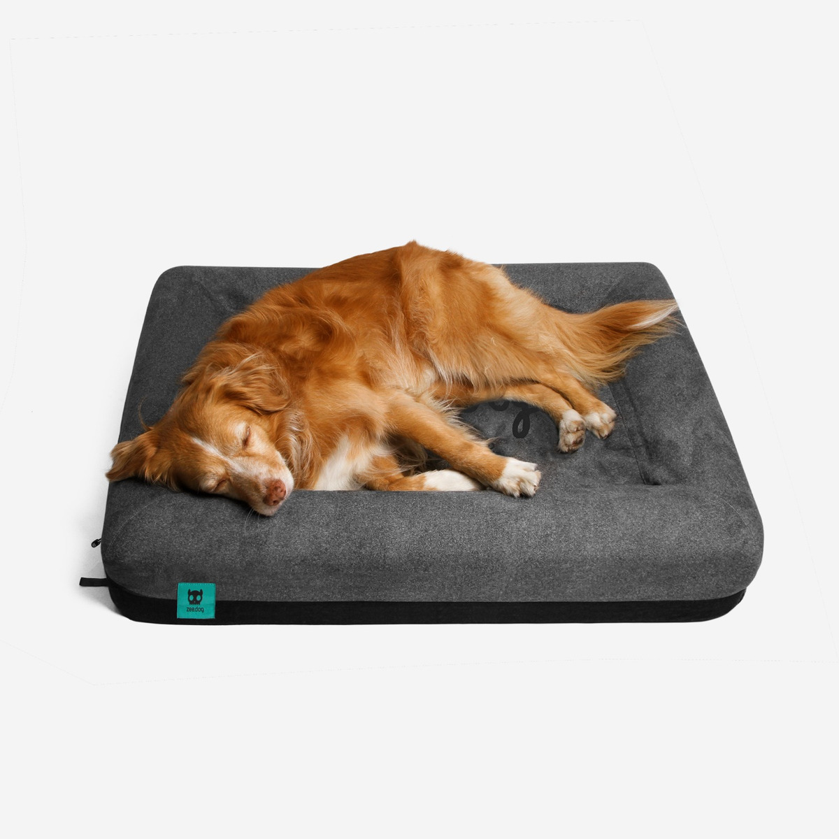 Zee Dog Cama Zeedog Bed Large 81cm+ Envío Gratis Todo Uy Mercado Libre