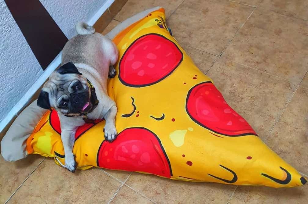 Camas Para Perro ! Chica Hermosas Nuevas! Mercado Libre