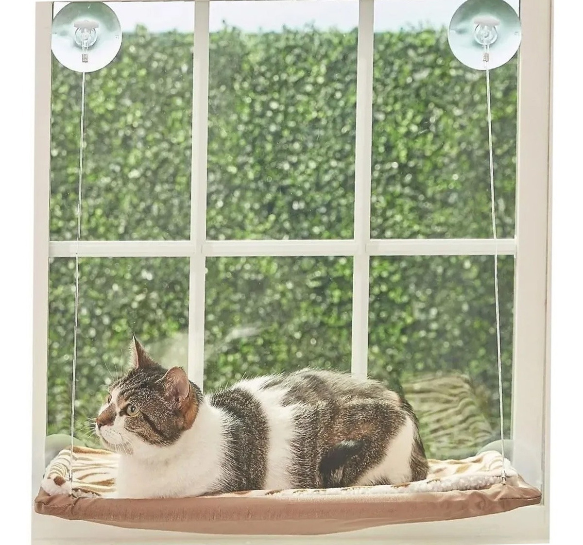 Cama Gato Hamaca Descanso Ventana Colgante Zootec ALMANIMAL PET SHOP