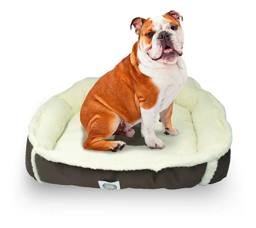 Cama Perro Mascota Cuadrada Borrega Café Razas Grandes Mercado Libre